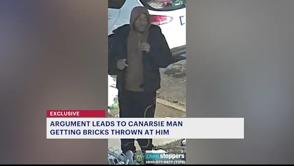 Video shows Canarsie man struck by multiple bricks, suspect still at large
