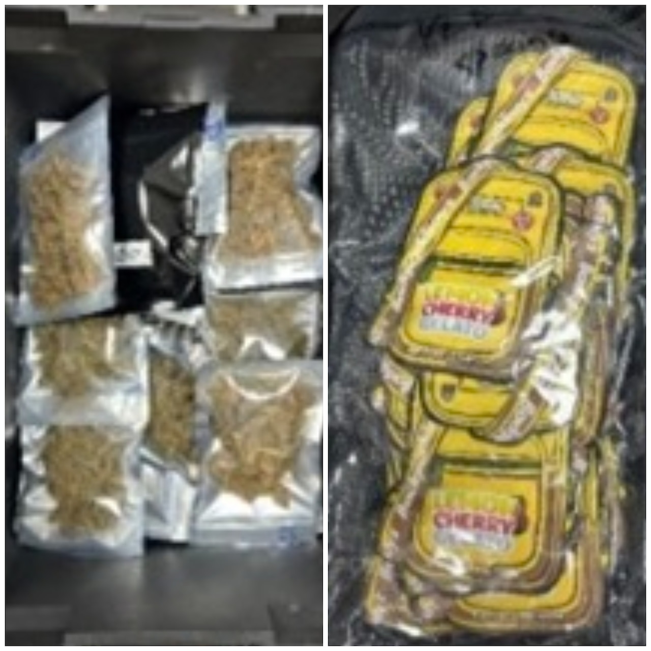 Stapleton Smoke Shop raid