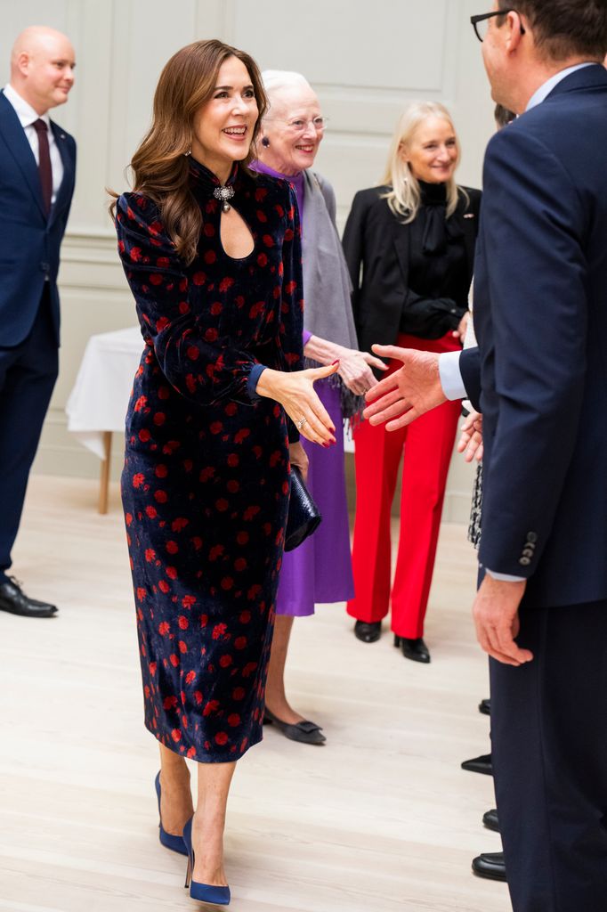 Queen Mary wowed in a velvet dress