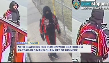 News 12 | Brooklyn | Person wanted for snatching chain off man’s neck in Brownsville