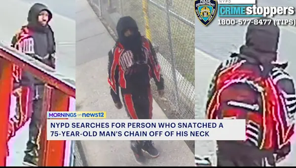 News 12 | Brooklyn | Person wanted for snatching chain off man’s neck in Brownsville