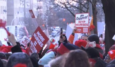 NYC hospitals brace for staff shortages as 15,000 nurses strike | News