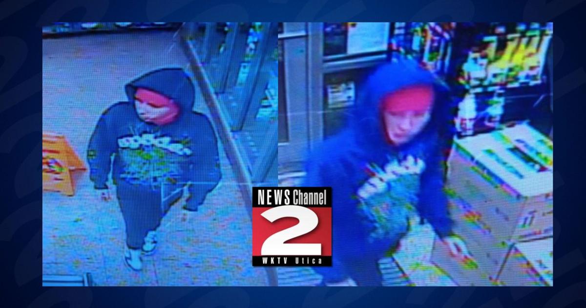 New York State Police Seek Waterville Larceny Suspect | Crime