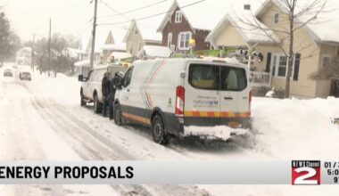 State Senator Griffo Pushes for Utility Cost Relief in New York | Focus Economy