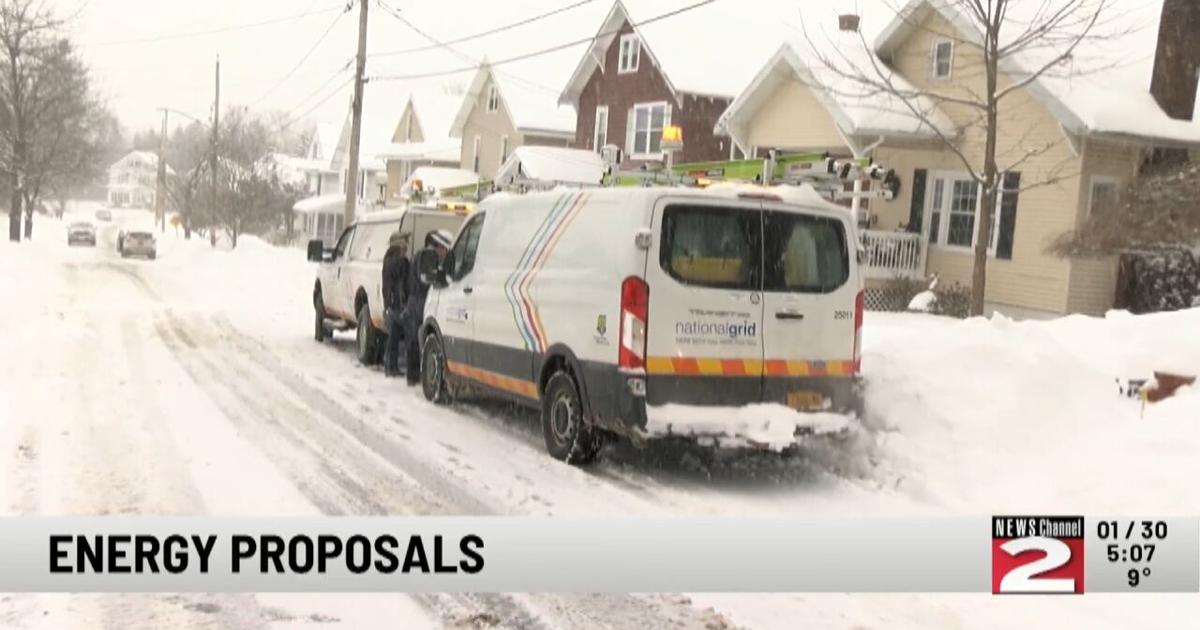 State Senator Griffo Pushes for Utility Cost Relief in New York | Focus Economy