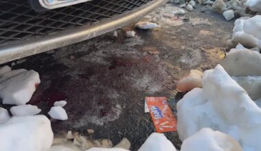 News 12 | Brooklyn | Sources: Man stabbed in the backside while shoveling snow in Bushwick