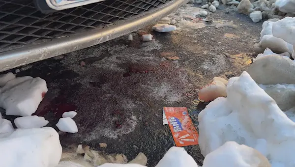 News 12 | Brooklyn | Sources: Man stabbed in the backside while shoveling snow in Bushwick