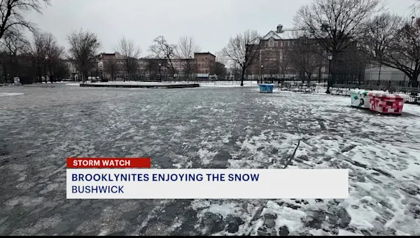 News 12 | Brooklyn | Code Blue, flight delays and icy conditions amid snowy night in Brooklyn