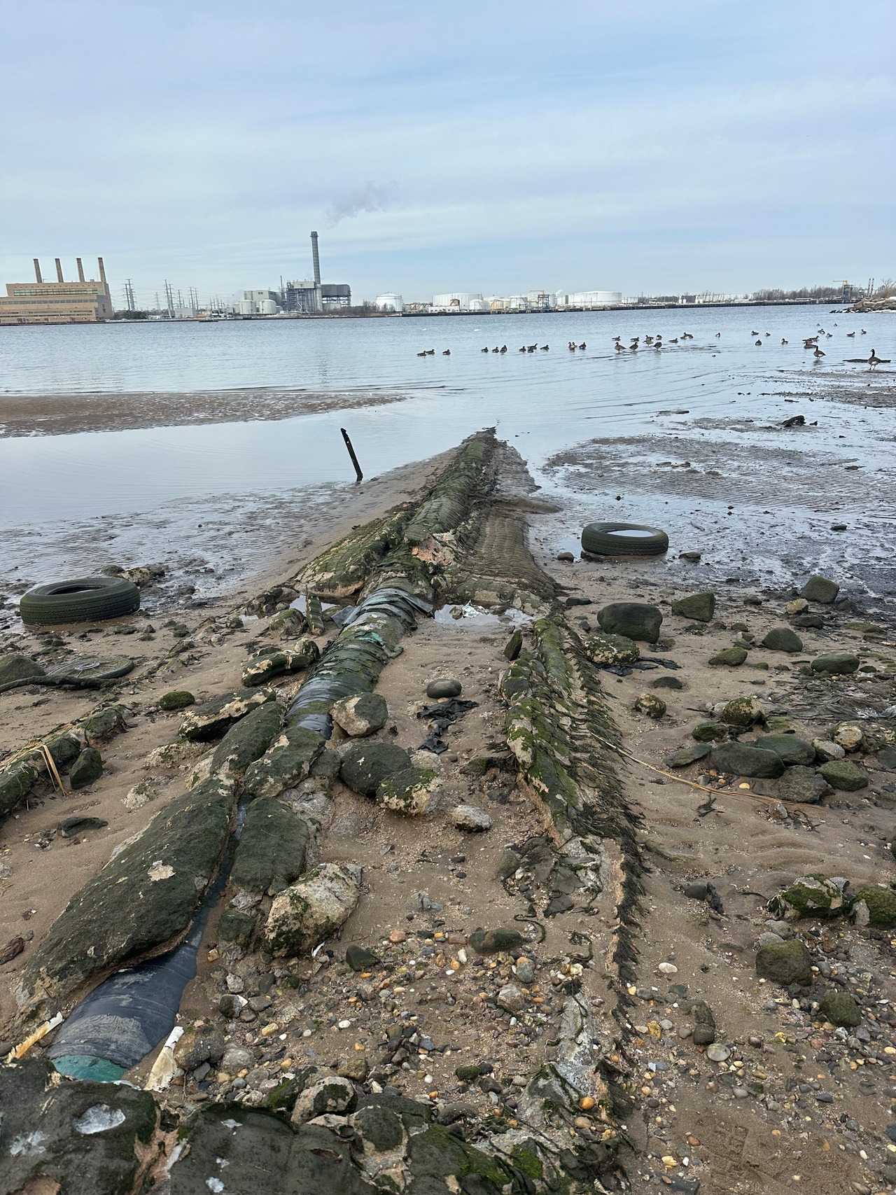 Arthur Kill Road pipeline