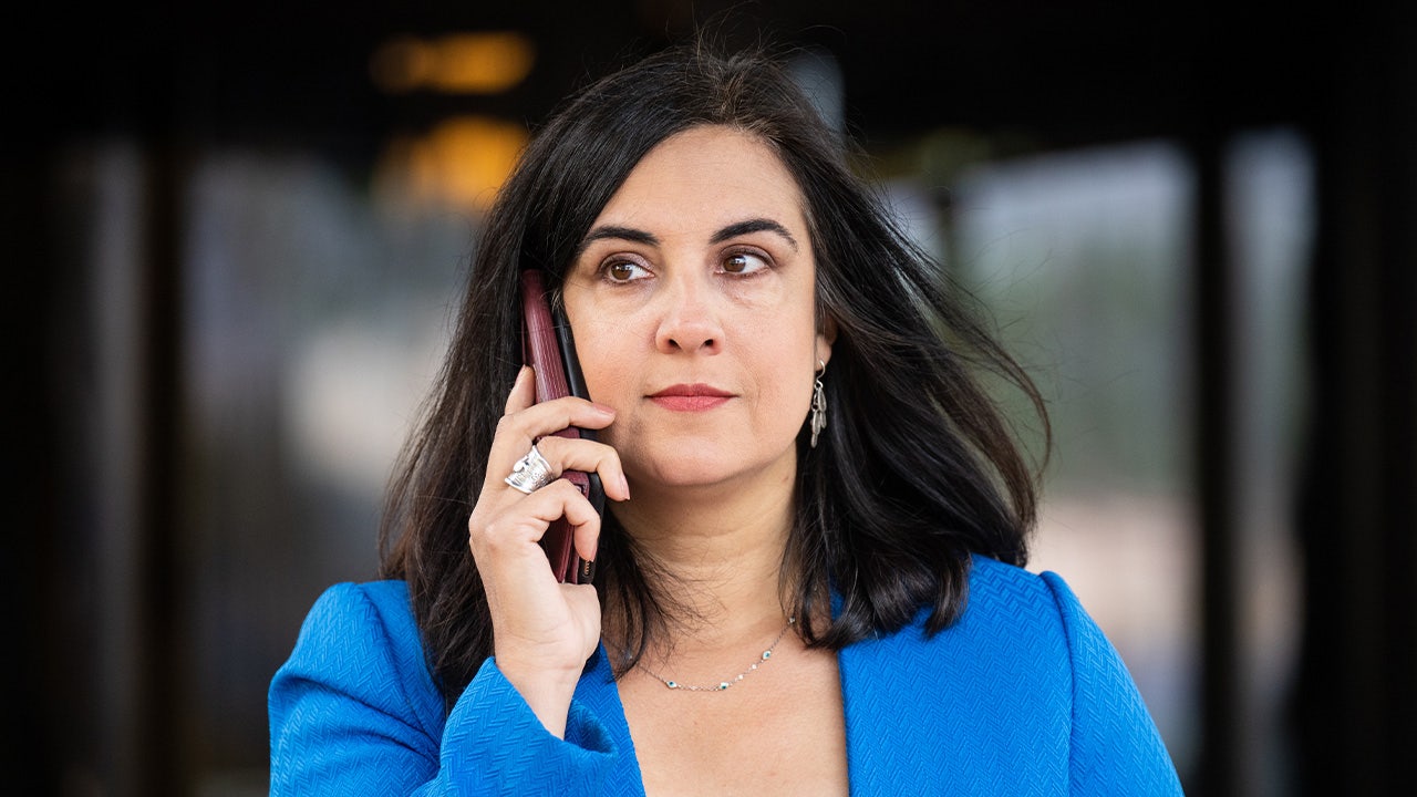Rep. Nicole Malliotakis seat at risk after NY redistricting ruling