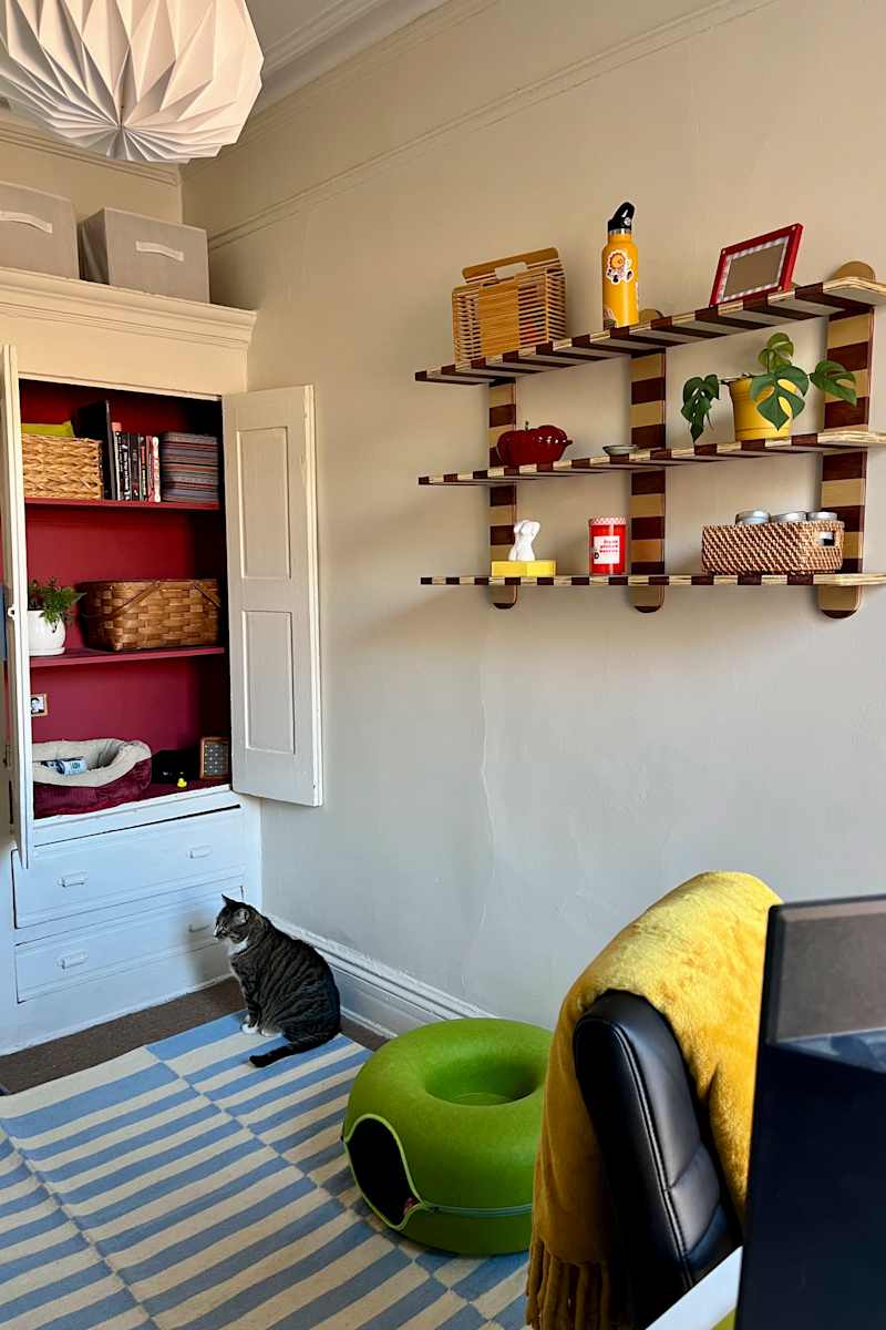 Cozy room with a striped rug, a cat sitting, a green pet bed, and shelves displaying colorful decor and plants.