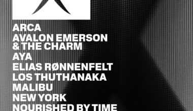 C2C Festival Celebrates 25th Anniversary With NYC Return | News