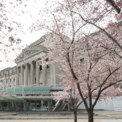 Brooklyn Museum. Photo: Jonathan Dorado