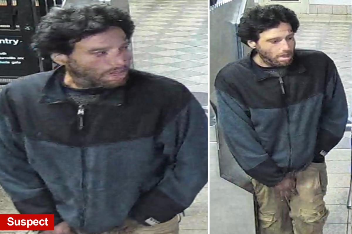 Wacko with rap sheet busted for randomly shoving man, 35, onto NYC subway tracks