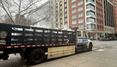 Tribeca Citizen | Seen & Heard: Hauling counterfeit loot