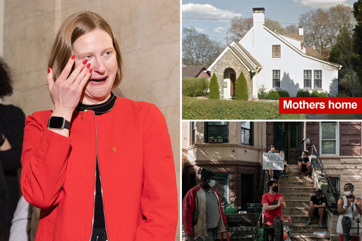 Zohran Mamdani's tenant advocate Cea Weaver whined about gentrification in Brooklyn neighborhood