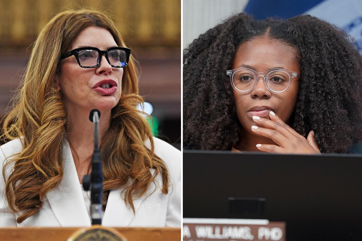 Liberal NYC pols' plans to give themselves 16% raises squashed --but they're not giving up yet