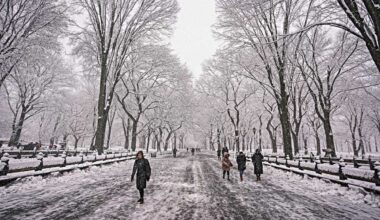 “Let’s see where we go”