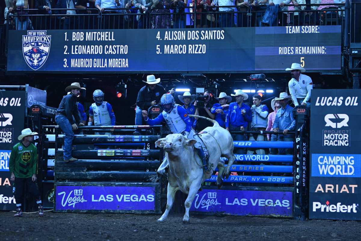 New York Mavericks to return to MSG three-day buck-off