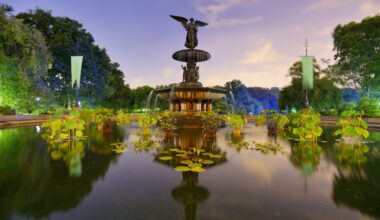 Tricia Shimamura Appointed NYC Parks Commissioner | The Bronx Daily