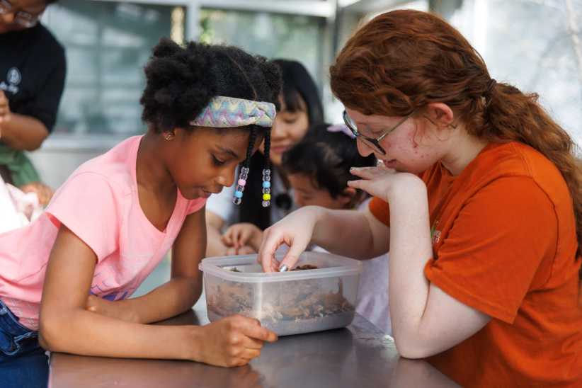 two girls looking at rocks in a clear plastic box. 