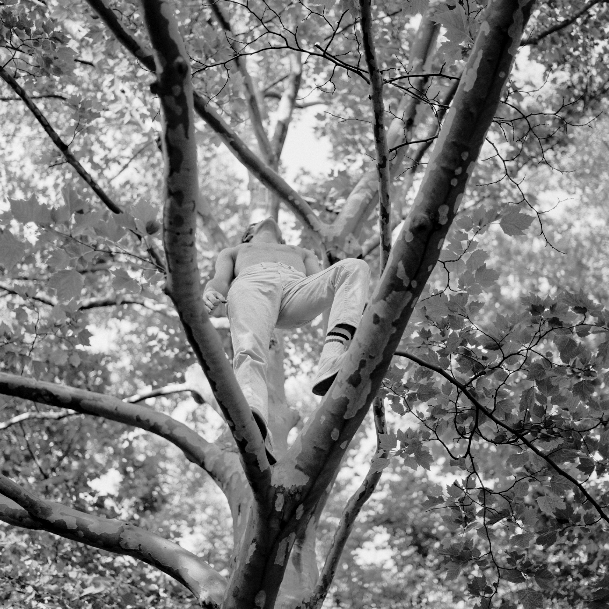 black and white photograph of man in park