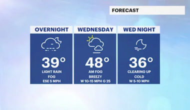 Light rain creates patches of fog overnight in The Bronx