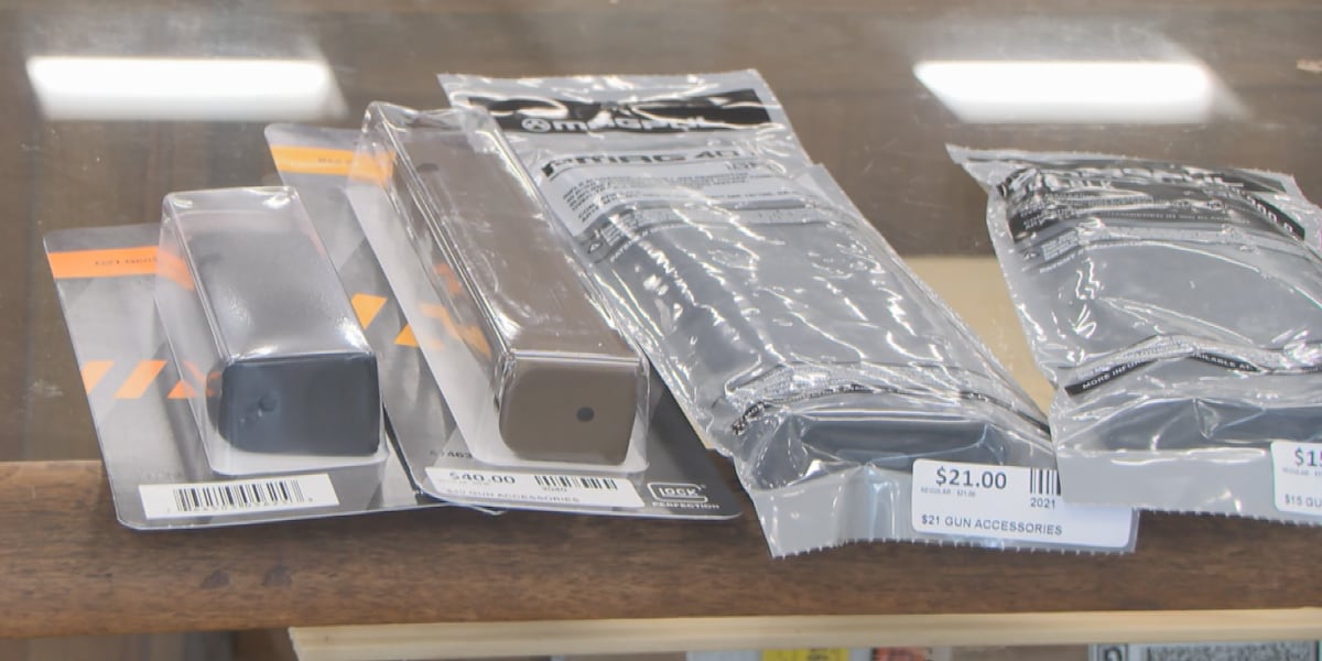 Virginia Democrats look to join New York, California with 10-round magazine limit