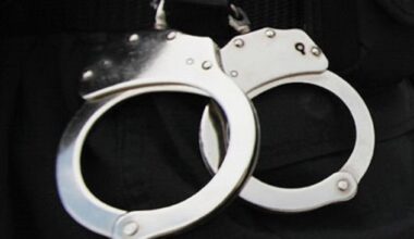 Bronx mom allegedly starved twin sons for years – NBC New York