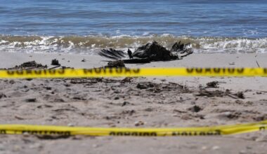 Long Island bird flu cases confirmed in Suffolk County – NBC New York