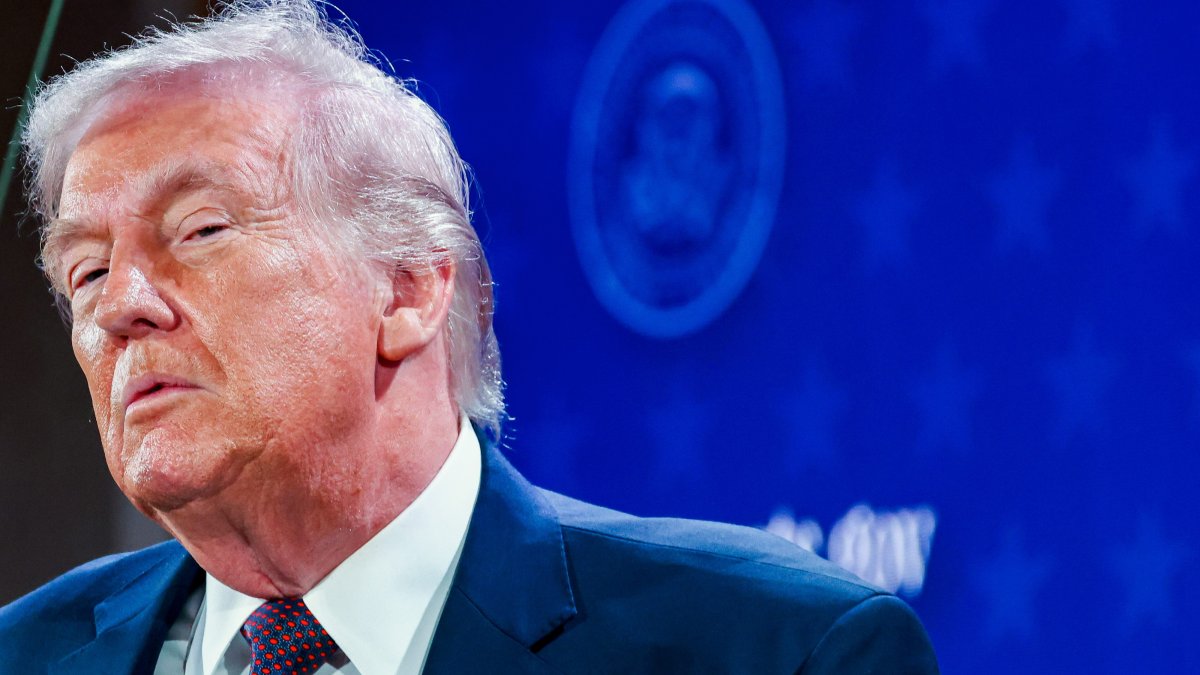 Republicans fear immigration strength slipping away before midterms – NBC New York