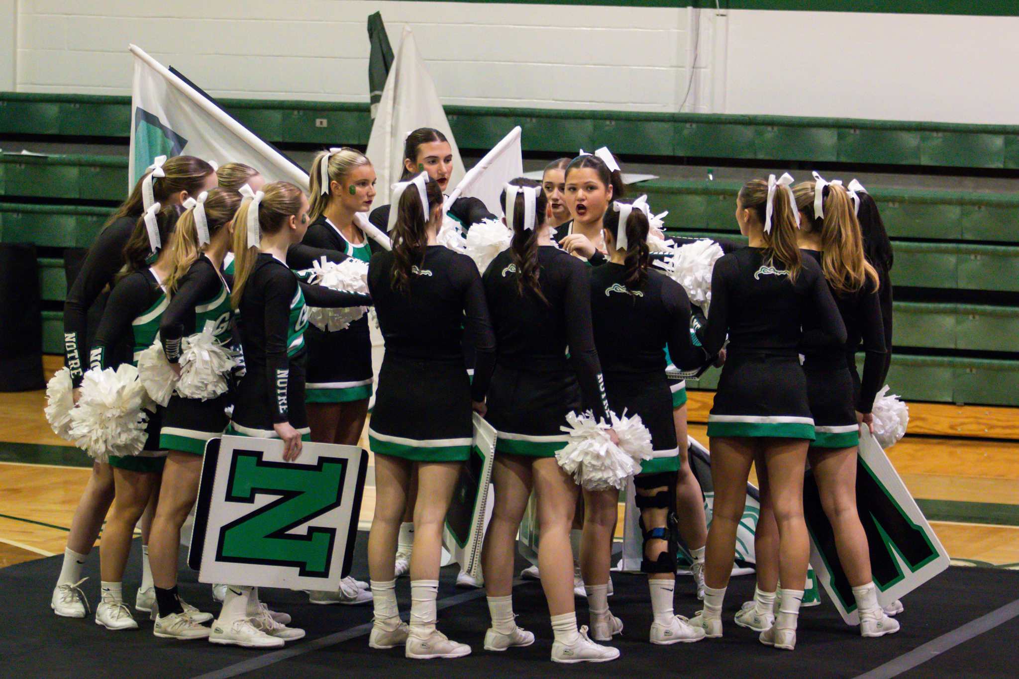 The event featured performances from four of the Staten Island teams competing in the National High School Cheerleading Competition this weekend along with the Seahawks showing off its routine. (Annie DeBiase for the Advance/SILive.com)
