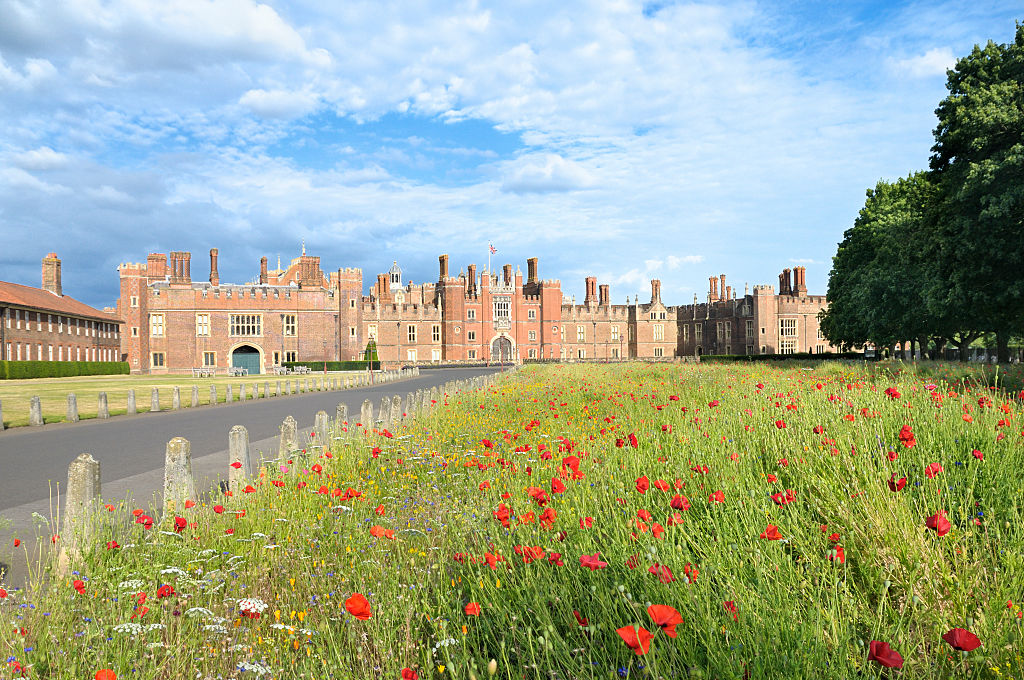 Red poppy meadow and driveway leading to the Great Gatehouse main entrance on the West Front of Hampton Court Palace in the London Borough of Richmond upon Thames. England, UK