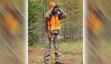 New York guide exams offered online and at Winter Rendezvous