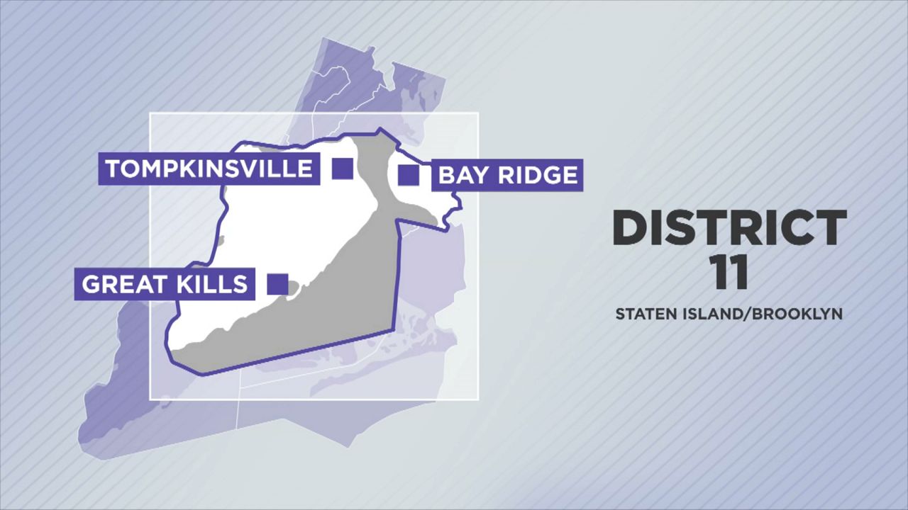 Redistricting expert talks judge order on NY-11