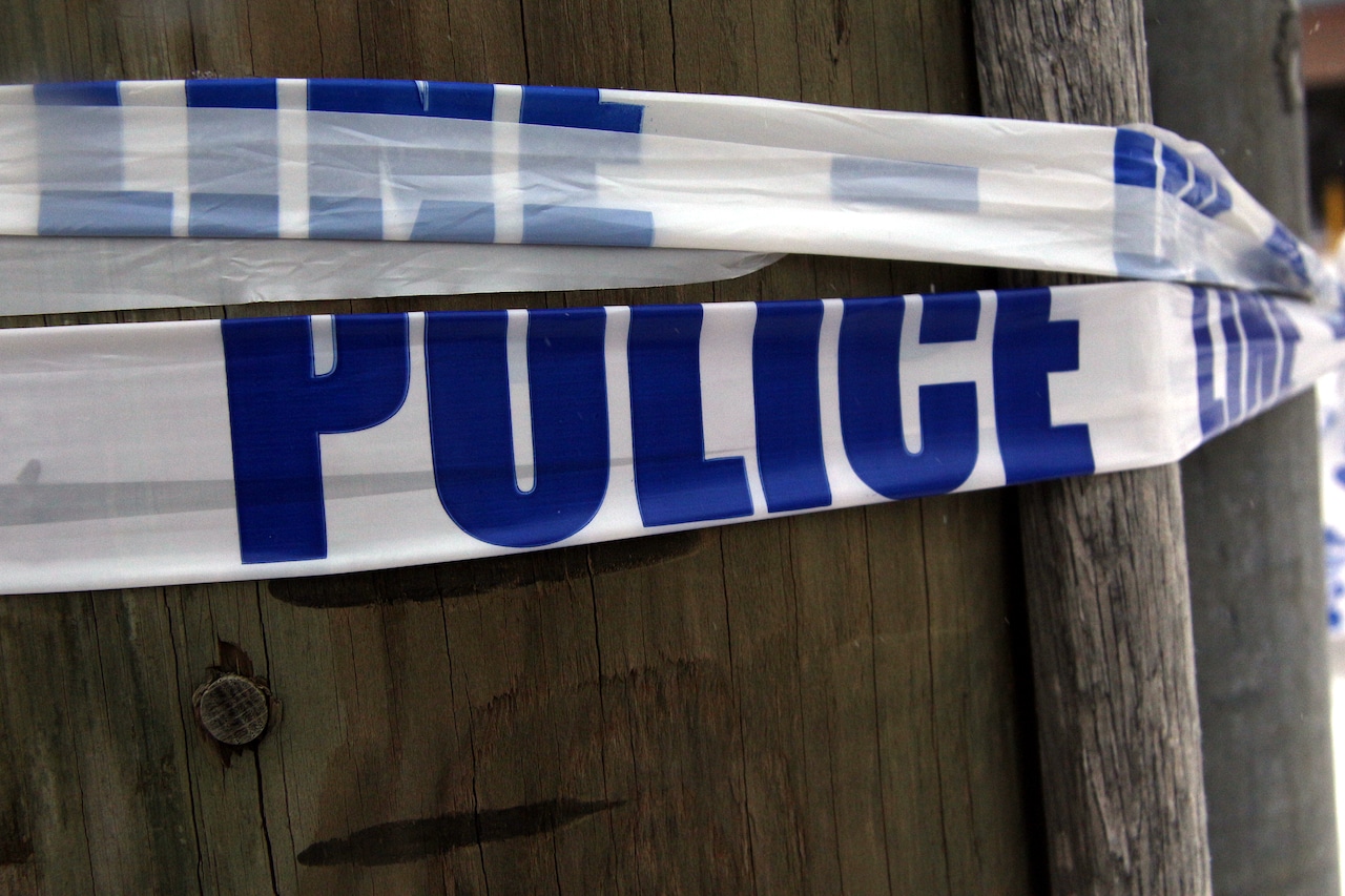 Pitbull attack kills 59-year-old man on Staten Island