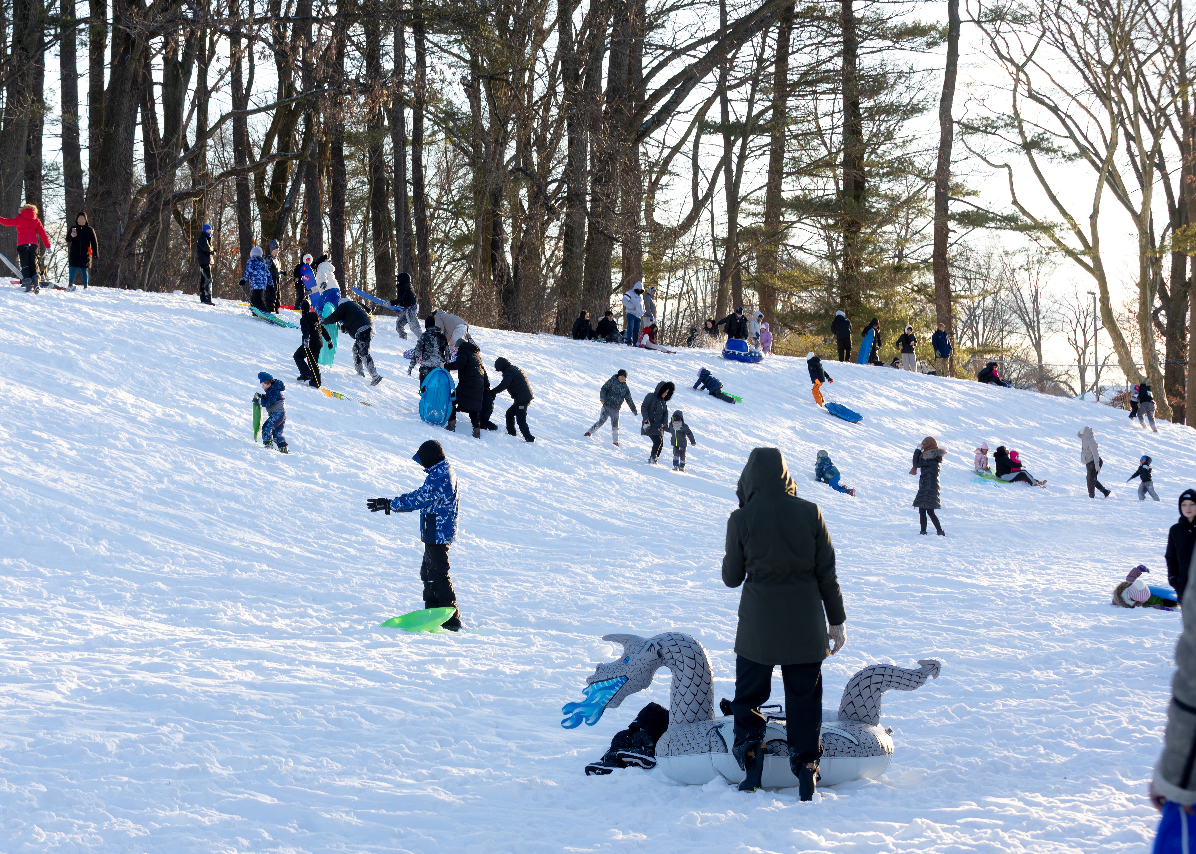 Children enjoy their snow day sledding in Clove Lakes Park on Monday, Jan. 26, 2026. (Advance/SILive.com | Jason Paderon)