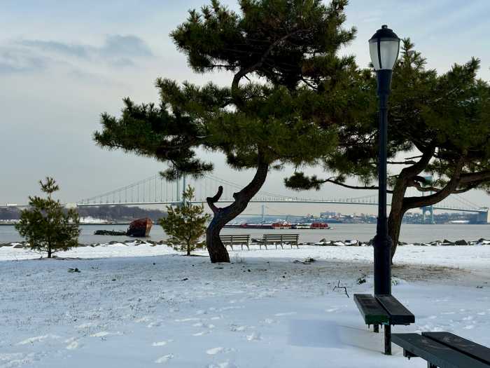 Edmundo Martinez and Richard Aracil spent around two hours at Clason Point Park, counting the different species of birds perched in trees and enjoying the water.