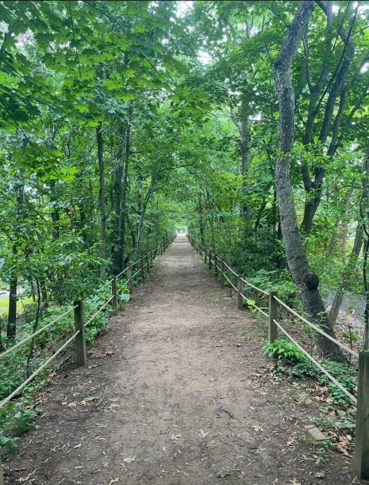 Miles Lucatorto replaced 180 fenceposts along paths in Centennial Gardens.