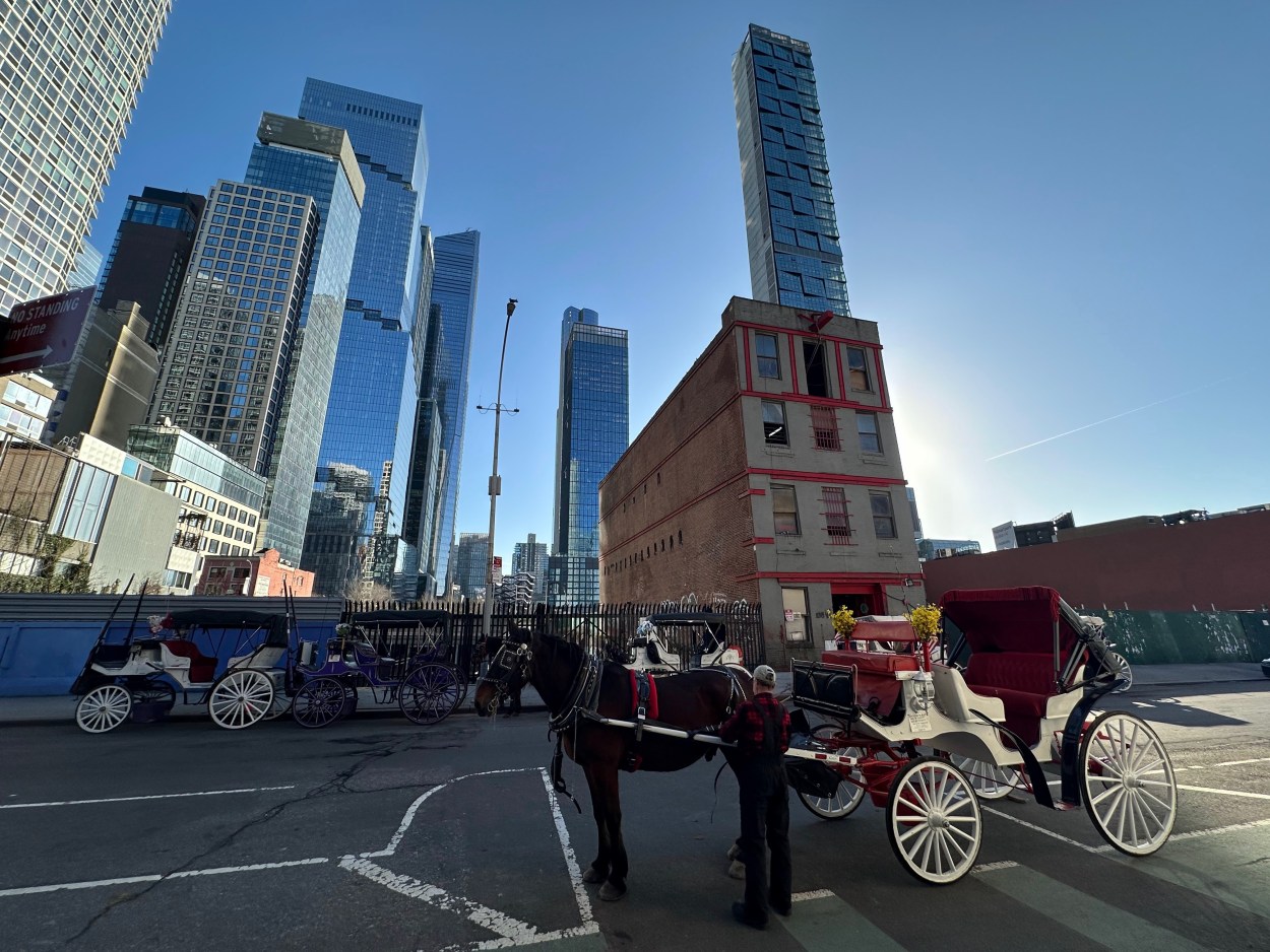 Carriage horse stables on W38th St