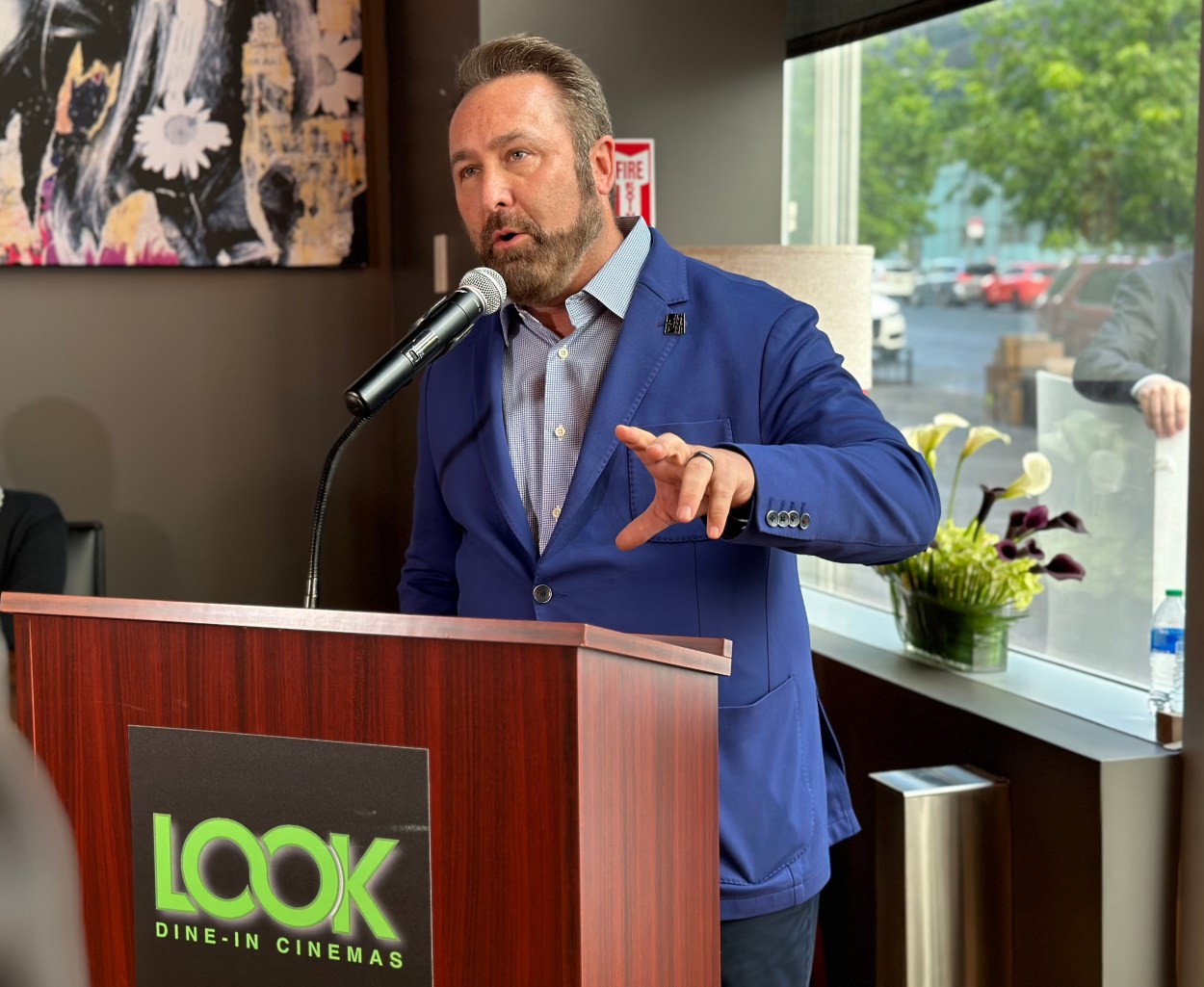 Brian Schultz Look Cinemas