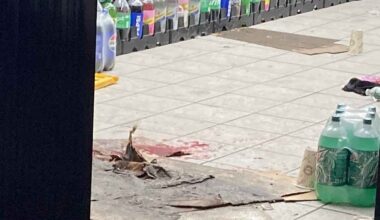 Bedford Park: Person Hospitalized after Shooting inside Convenience Store on Bedford Park Blvd