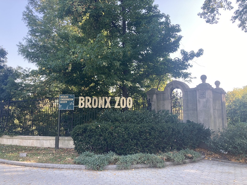 Bronx Zoo Offers New Yorkers the Chance to Name a Cockroach after Their Ex for Valentine’s Day