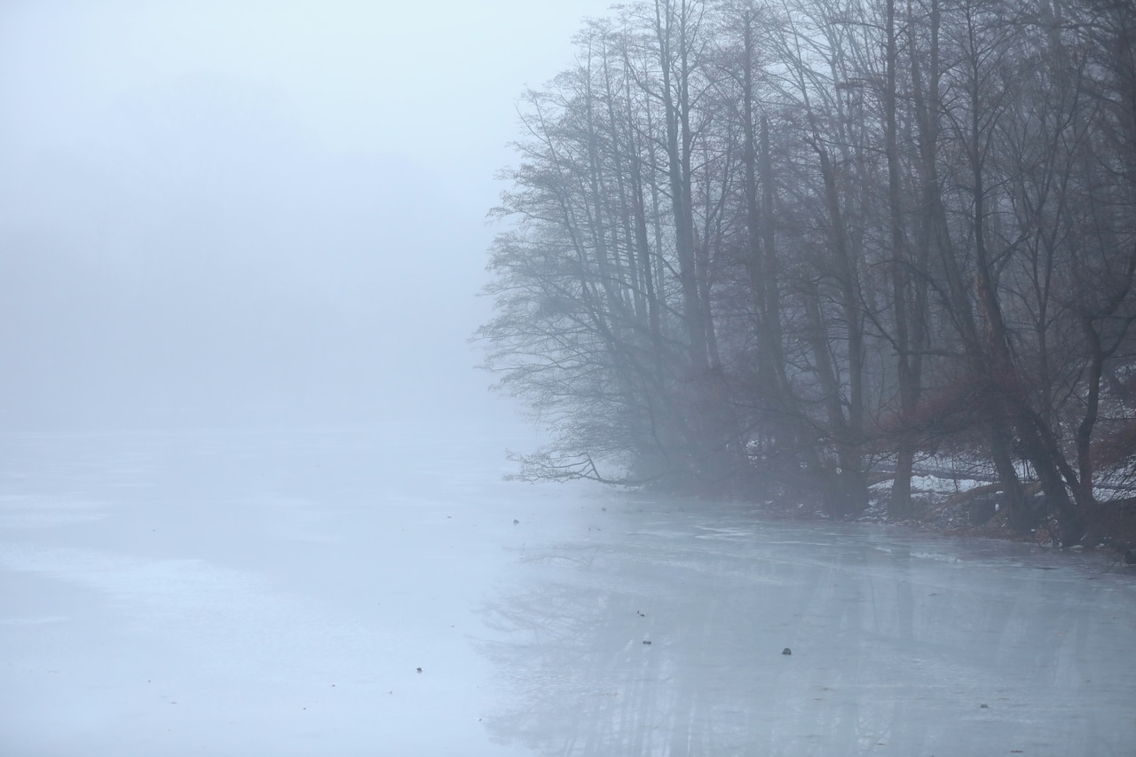 Fog blankets Staten Island
