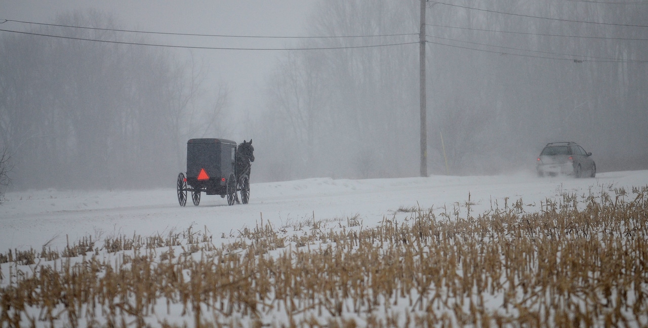 Man dies after logging truck hits Amish buggy in Southern Tier