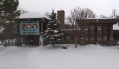 Zoo New York receives $100,000 donation months after viral article