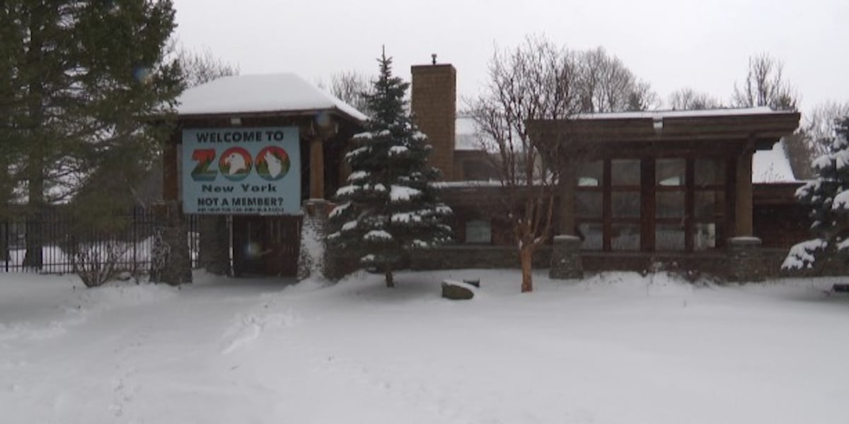 Zoo New York receives $100,000 donation months after viral article