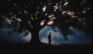 Manhattan Mental Health Counseling Dismantles the Wall Between Insurance and Elite Care