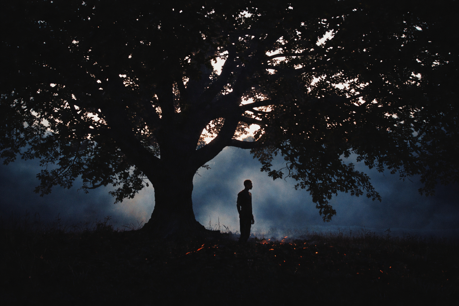 Manhattan Mental Health Counseling Dismantles the Wall Between Insurance and Elite Care