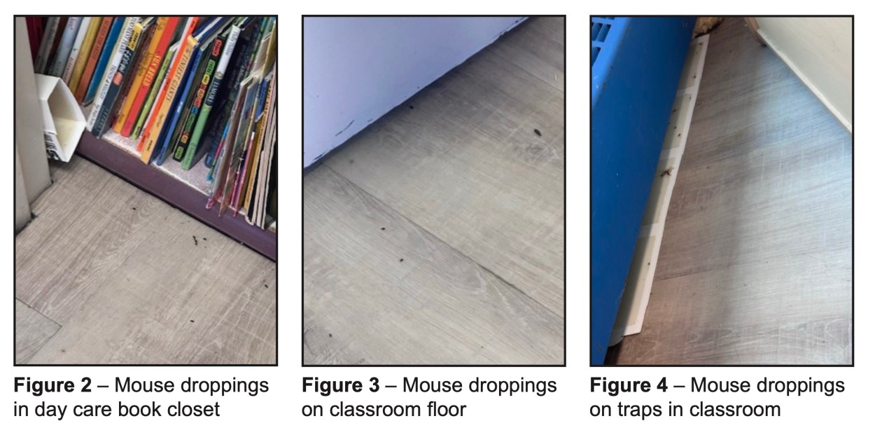 Mouse droppings at the day care in Clinton Towers